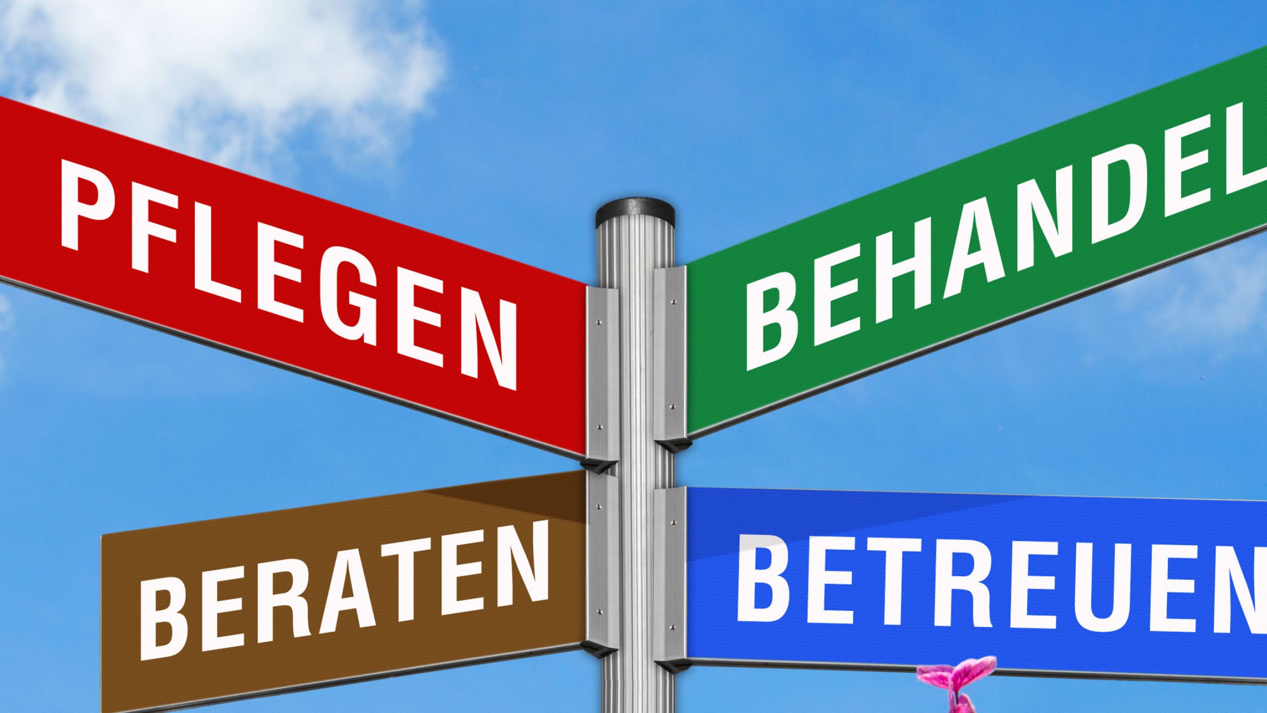 Ein Wegweiser mit dem Aufschriften Pflegen, Behandeln, Beraten und Betreuen.