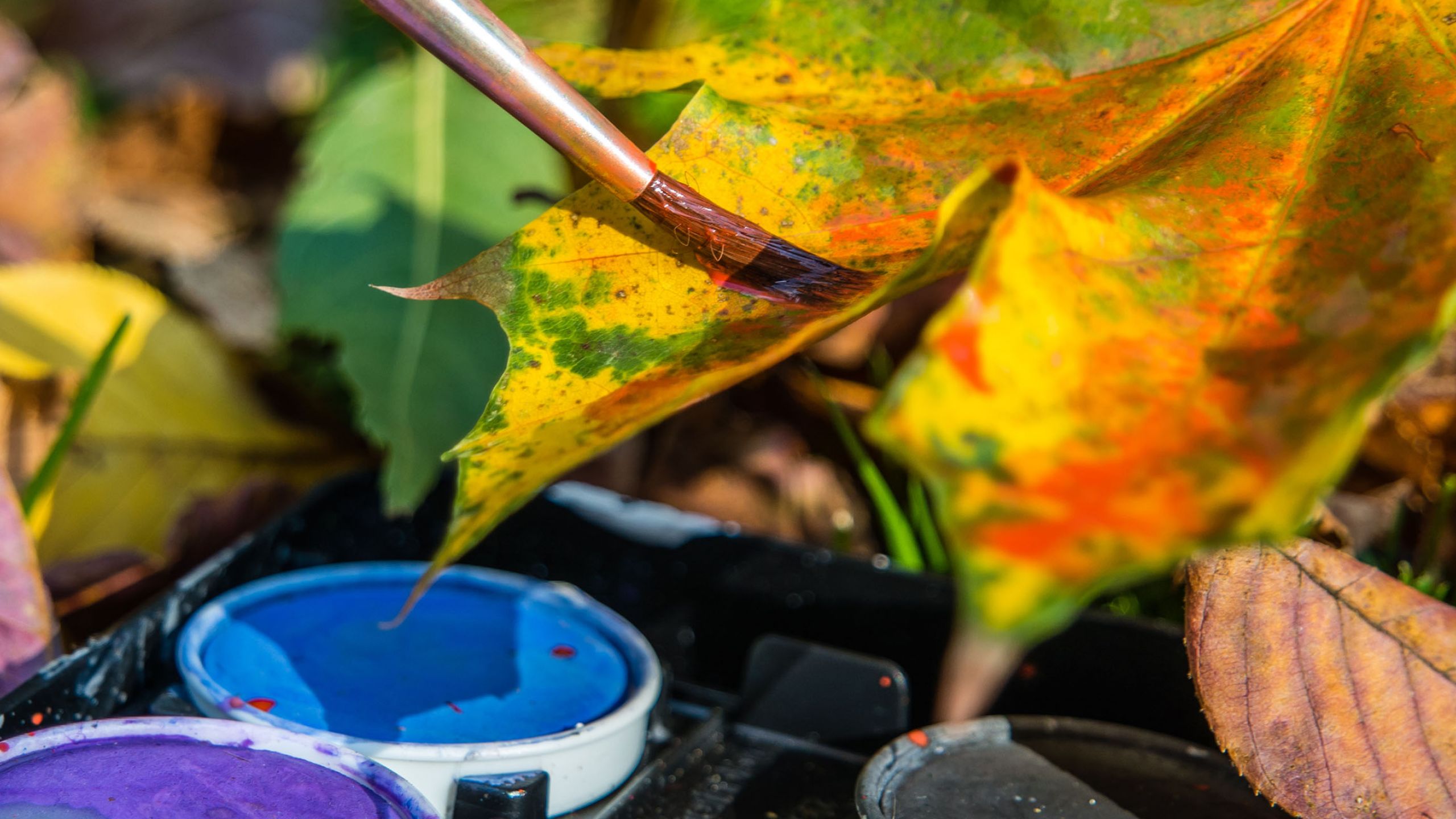 Ein Blatt wird mit Tusche bemalt.